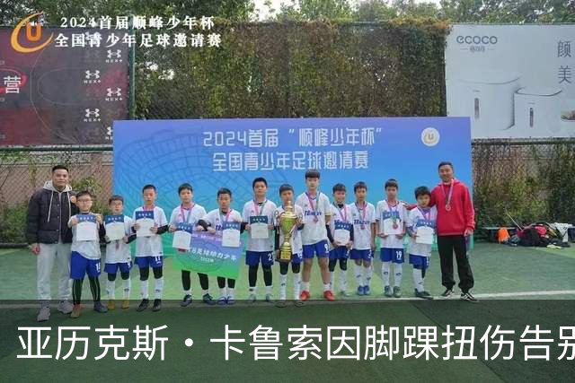 亚历克斯·卡鲁索因脚踝扭伤告别比赛 返回更衣室接受治疗